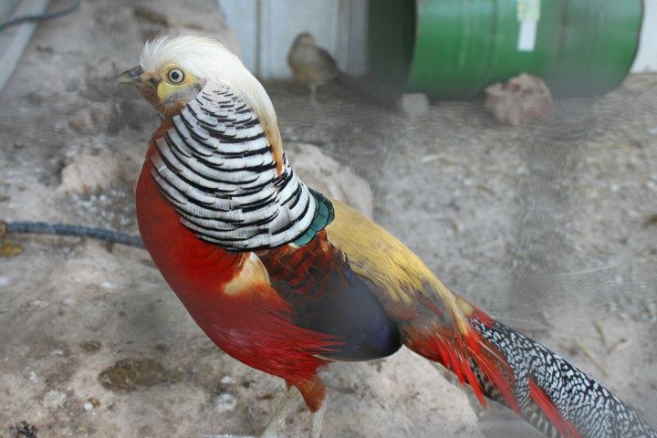 צילום: רביד עידן