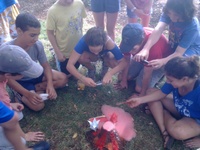 קייצת 2011