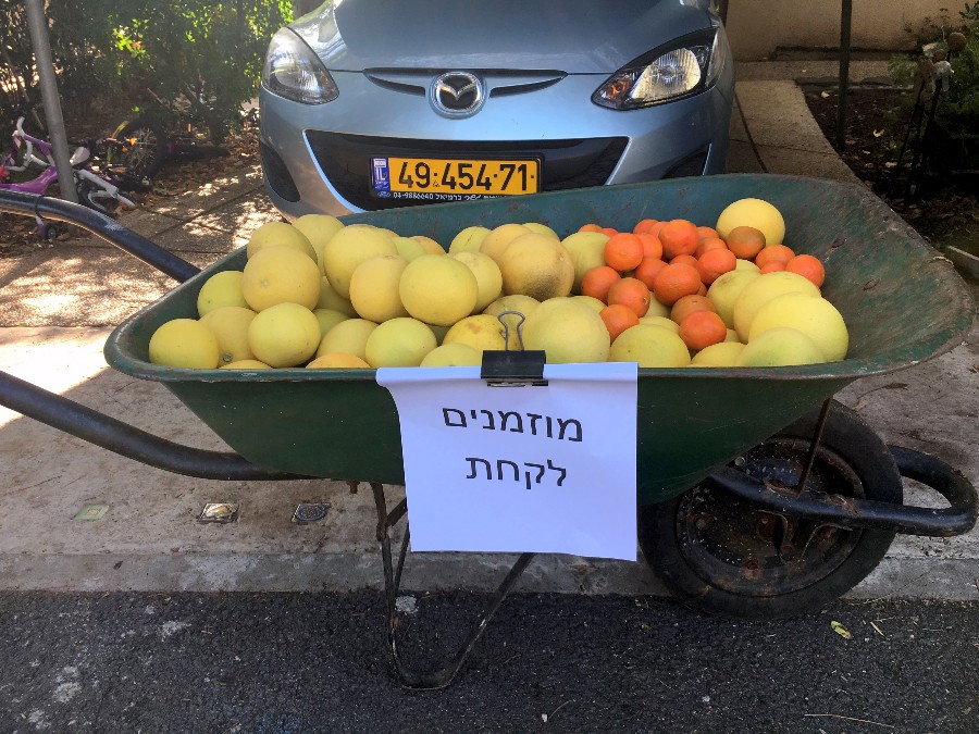 בכניסה לביתם של שושי ודני ניר
1 דצמבר 2017