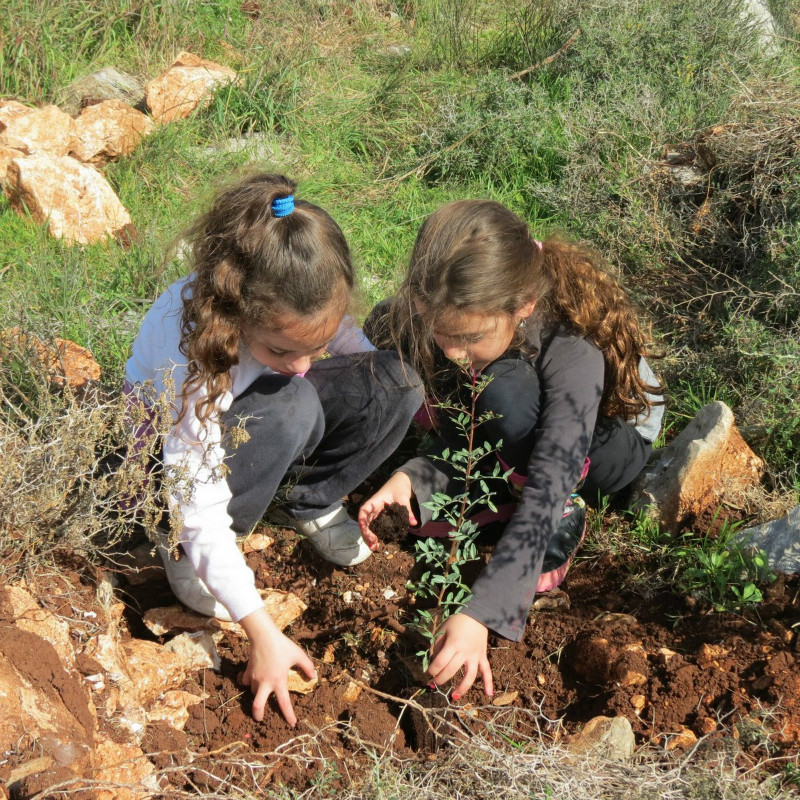 דור 3 של נוטעות:
הנכדות של משפ' חבר.
טו בשבט תשע"ג.
צילום: משפ' חבר